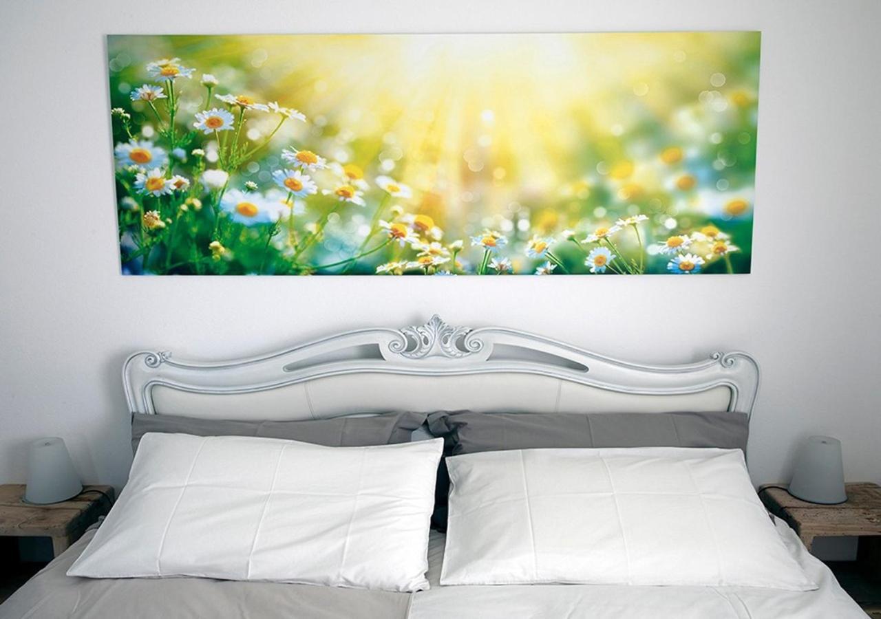 B&B Beauty House Чезена Екстер'єр фото